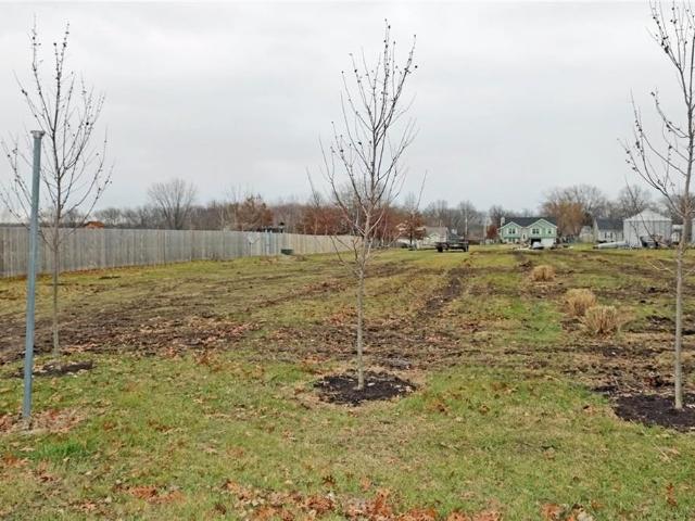 Land for sale in East Lynne, Missouri