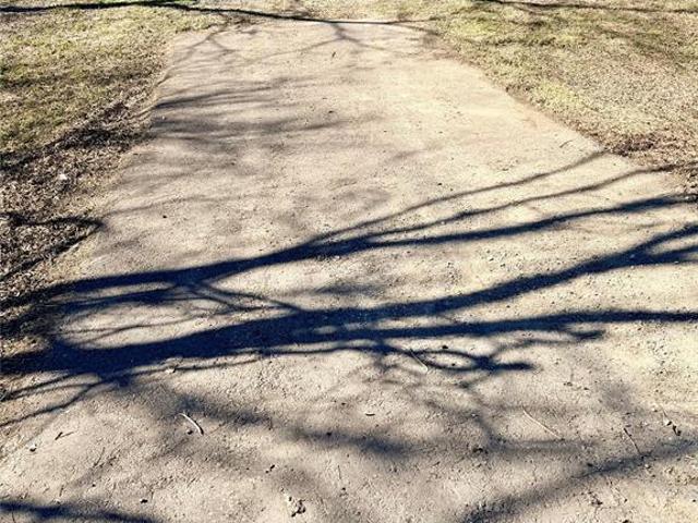 Land for sale in Blue Ridge, Collin County