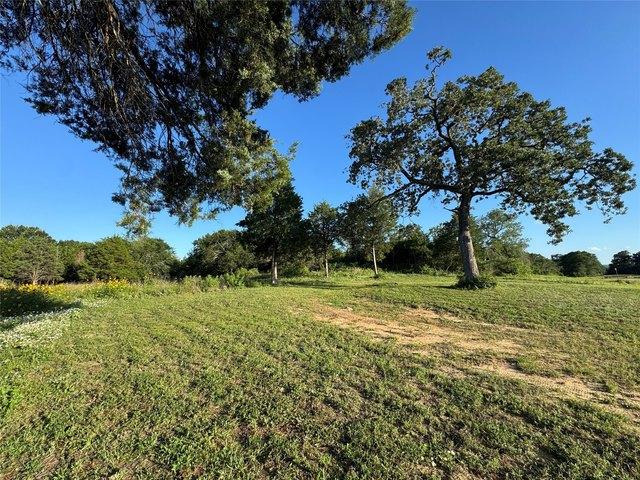 Land for sale in Bellville, Texas