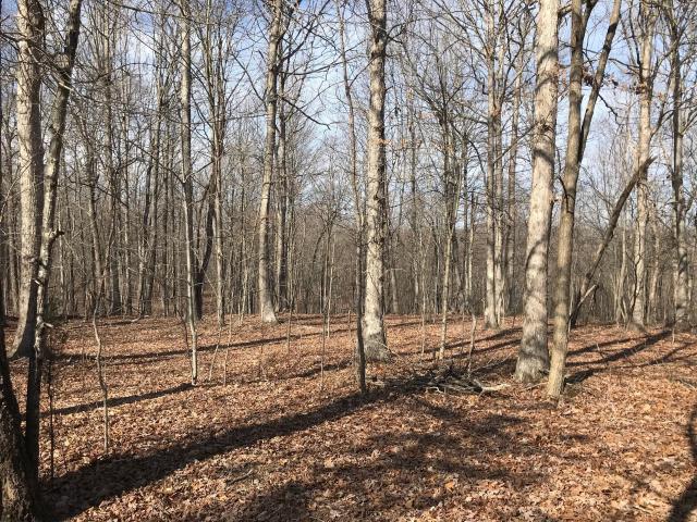 Land for sale in Tennessee