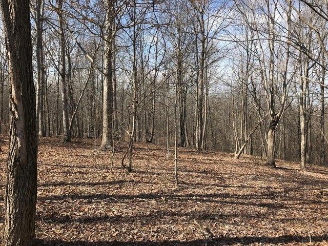 Land for sale in Tennessee