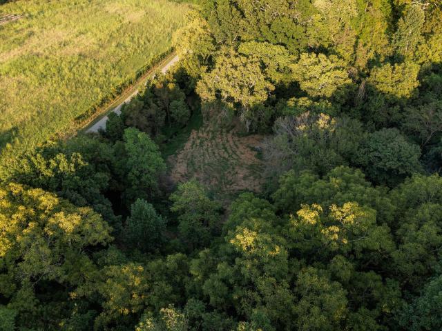 Farm for sale in Tennessee