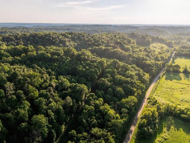 Farm for sale in Tennessee