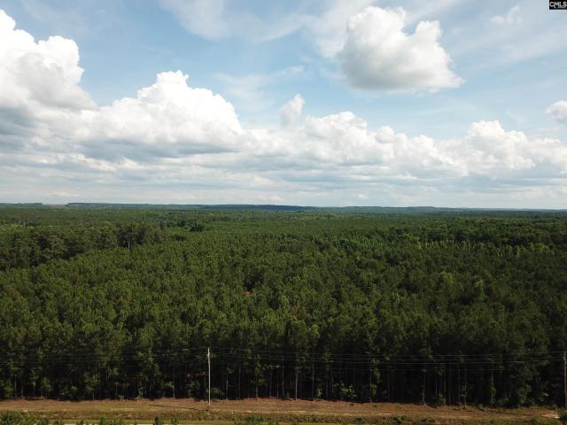 Land for sale in Rembert, South Carolina