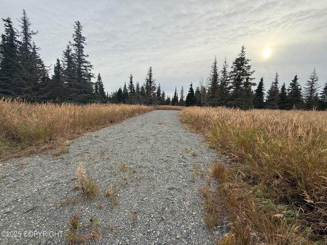 Land for sale in Kasilof