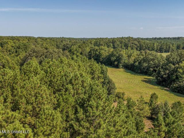 Land for sale in Crystal Springs, Mississippi