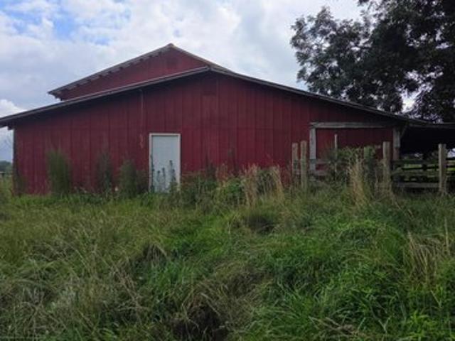 Land for sale in Albertville, Alabama