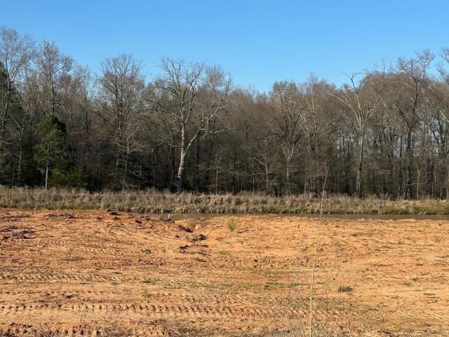 Land for sale in Ark
