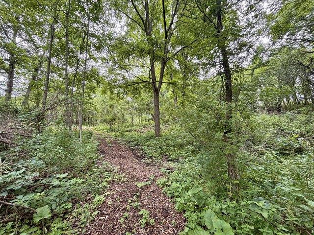 Land for sale in Wales, Wisconsin