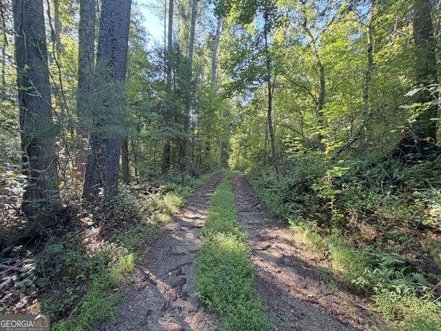Land for sale in Clarkesville, Georgia