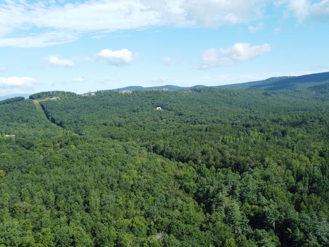 Land for sale in Clarkesville, Georgia