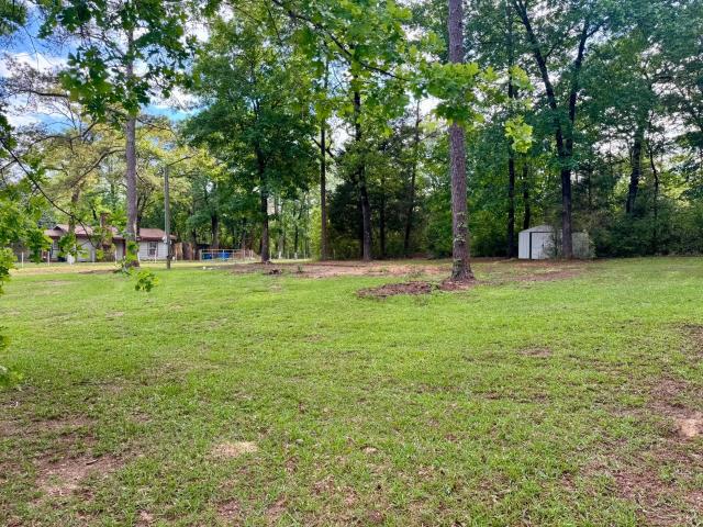 Land for sale in Ivanhoe, Texas