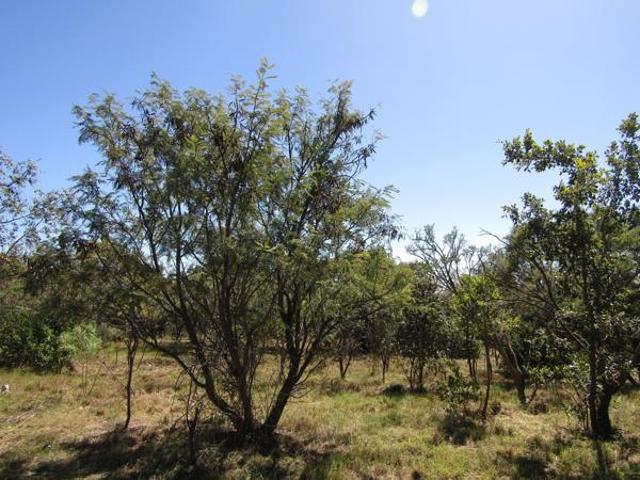 Land for sale in North West