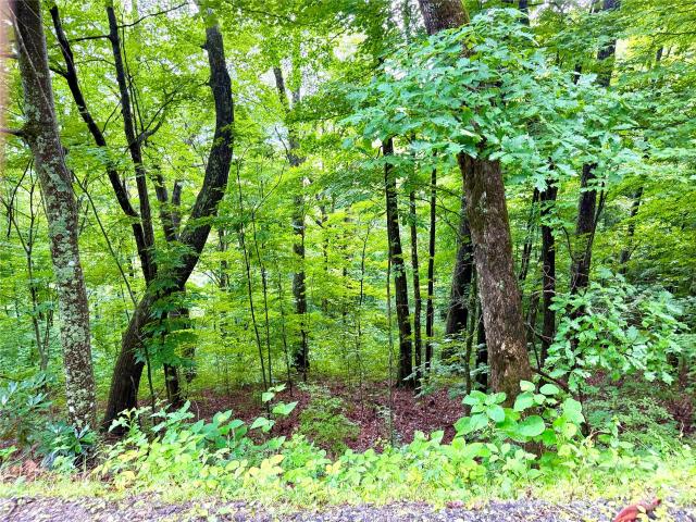 Land for sale in Haywood, North Carolina
