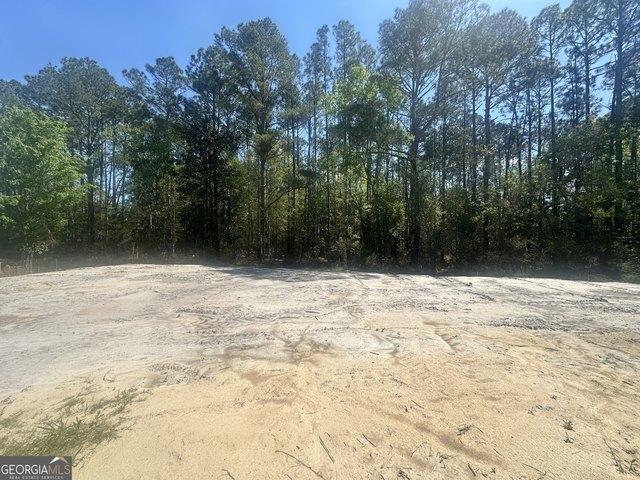 Land for sale in Ray City, Georgia