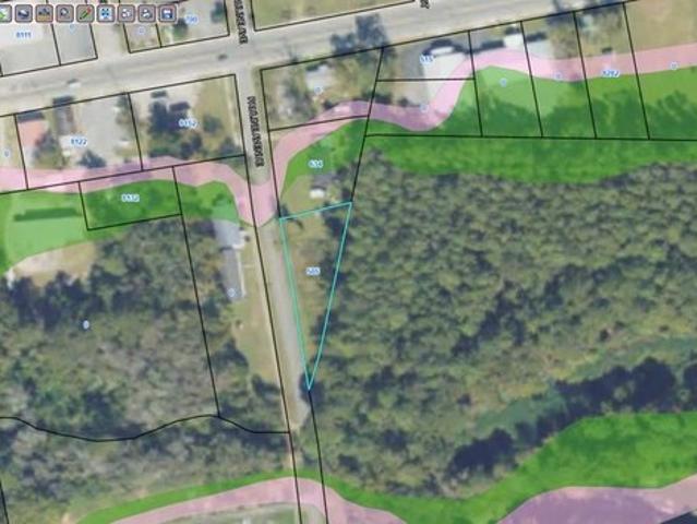 Land for sale in Ray City, Georgia
