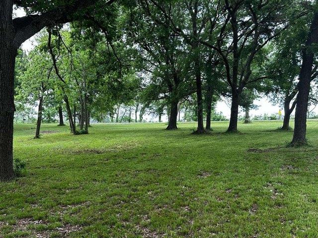 Land for sale in Gunter, Grayson County