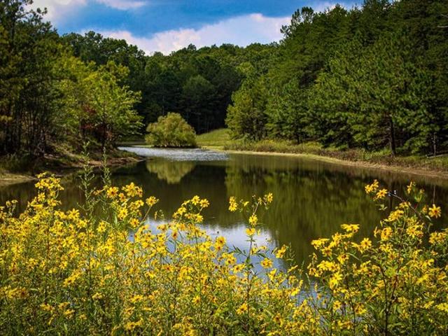 House for sale in Mentone, DeKalb County