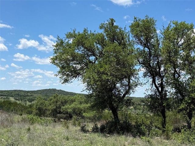 Land for sale in Texas
