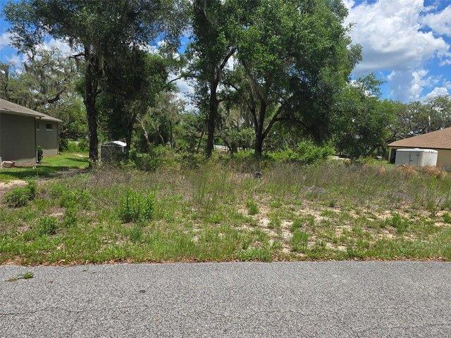 Land for sale in Dade City, Florida