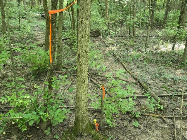 Land for sale in Blanchester, Clinton County