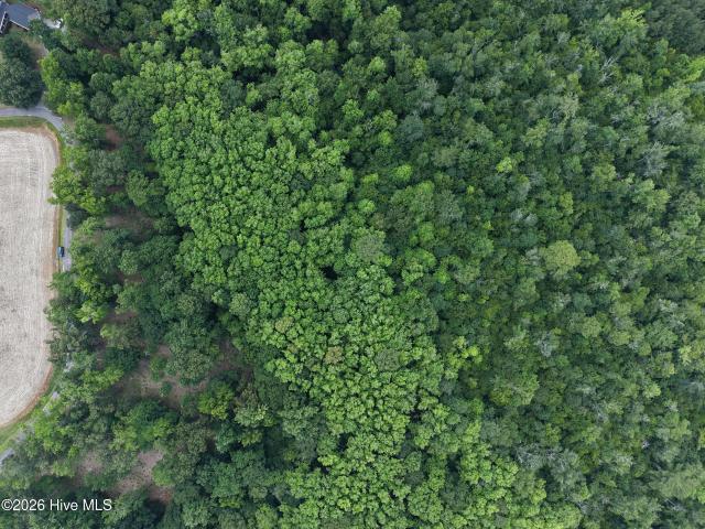 Land for sale in Windsor, North Carolina