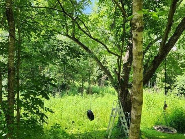 Land for sale in Tennessee
