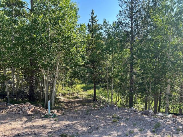 House for sale in Red Feather Lakes, Colorado