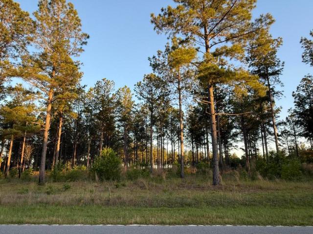 Land for sale in Elko, South Carolina