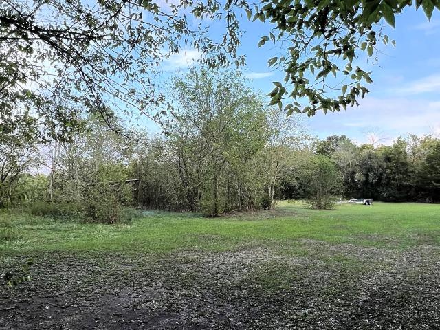 Land for sale in Wallis, Texas