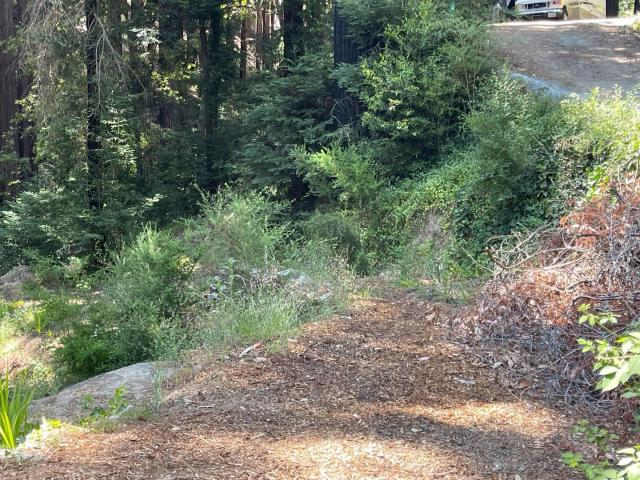 Land for sale in Boulder Creek
