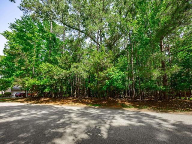 Land for sale in Chapin, South Carolina