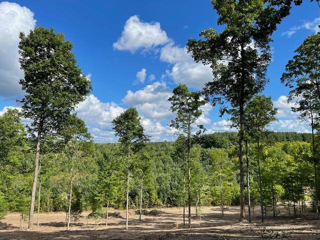 Land for sale in Paradise, Michigan