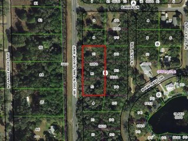 Land for sale in Hernando, Florida