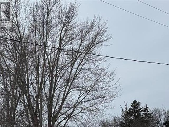 Land for sale in Oldcastle, Ontario