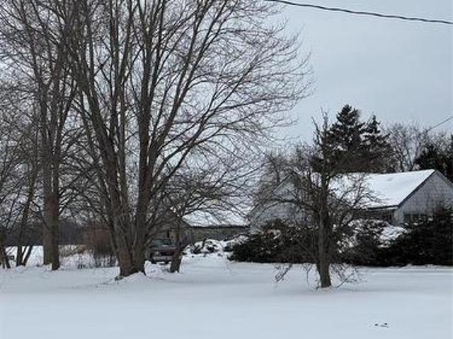 Land for sale in Oldcastle, Ontario