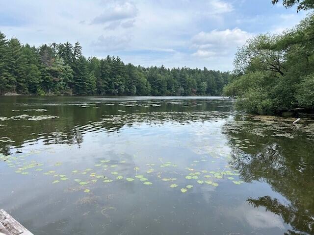 House for sale in Vilas, Wisconsin