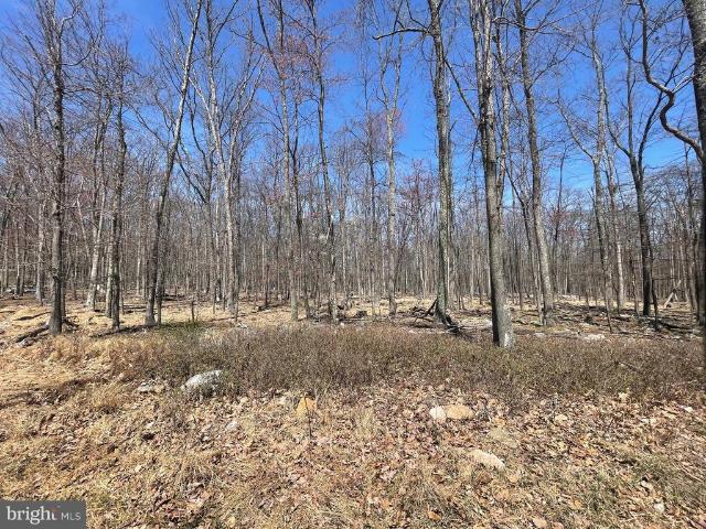 Land for sale in Zion Grove, Pennsylvania