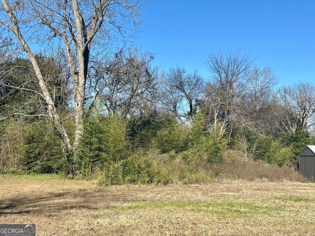 Land for sale in Fort Valley, Georgia