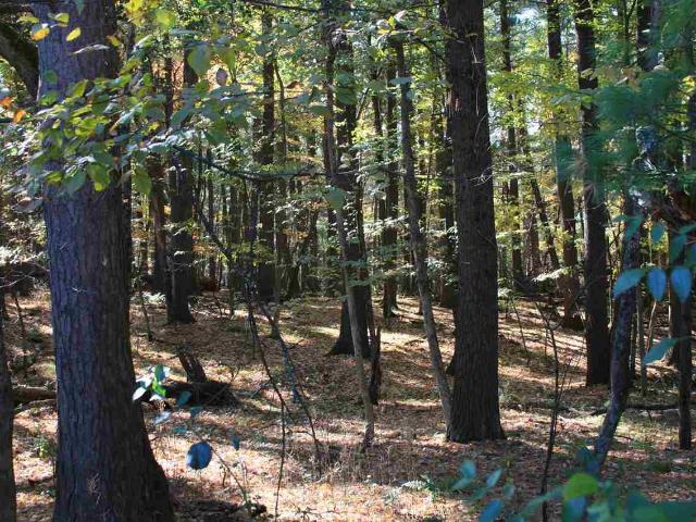 Land for sale in Wisconsin Dells, Wisconsin