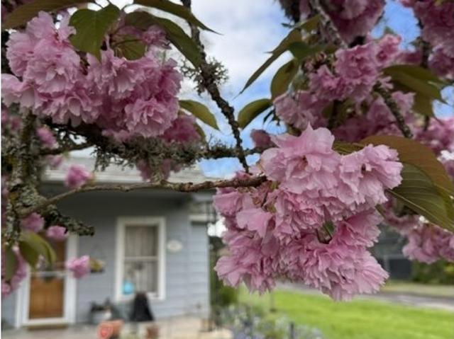 House for sale in Oregonia