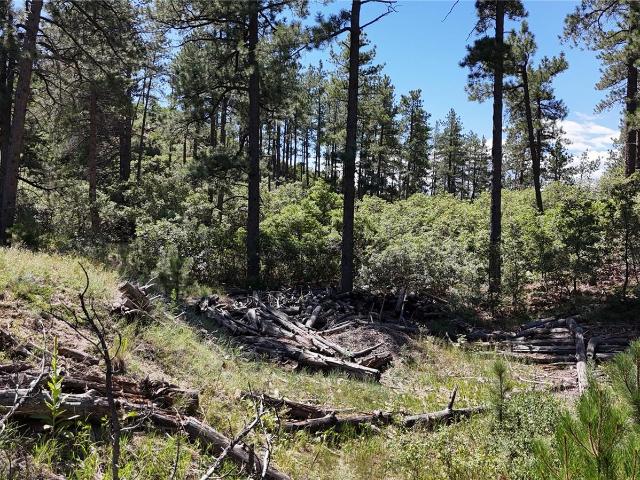 Land for sale in Sedalia, Colorado