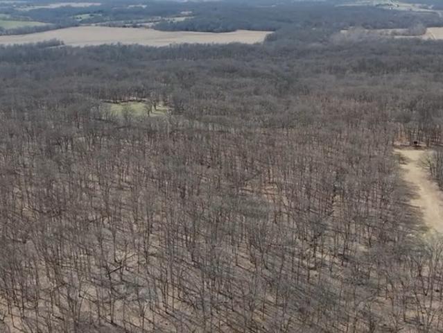 Commercial for sale in Hurdland, Missouri