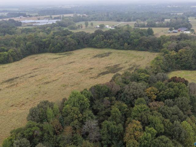 House for sale in Lawrence County, Alabama