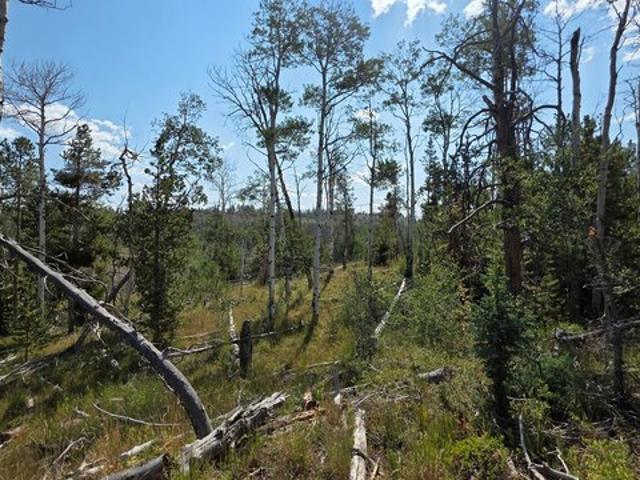 Land for sale in Kamas, Utah