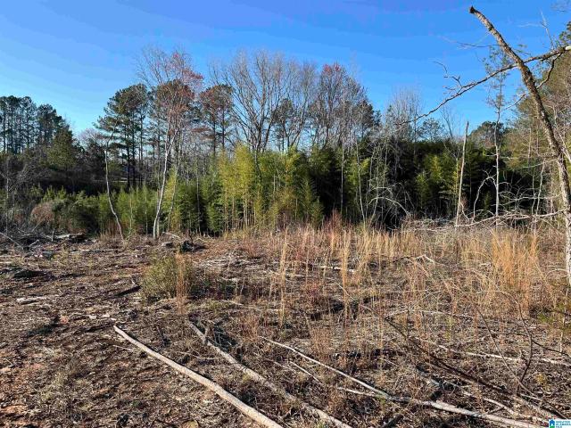 Land for sale in Wadley, Alabama