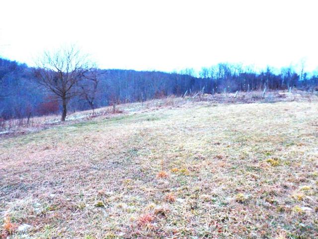 Land for sale in Ohio