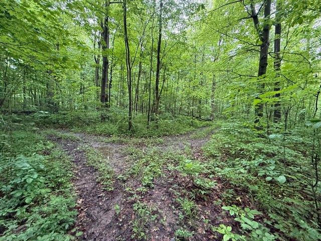 Land for sale in Union City, Indiana