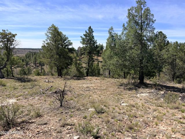 Land for sale in Arizona