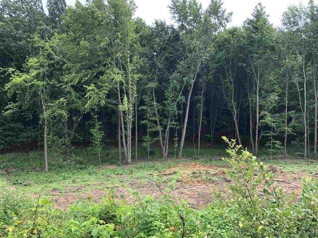 Land for sale in South Bend, Indiana